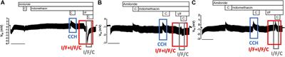 Assessment of Distinct Electrophysiological Parameters in Rectal Biopsies for the Choice of the Best Diagnosis/Prognosis Biomarkers for Cystic Fibrosis